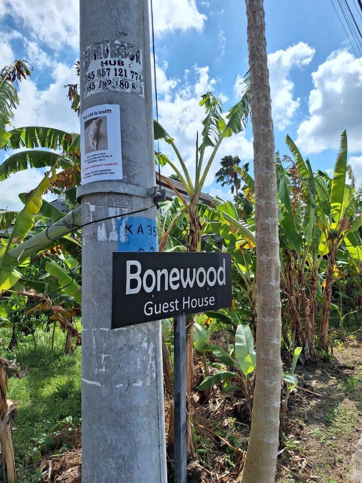 Bonewood Guesthouse Canggu  Ngoại thất bức ảnh